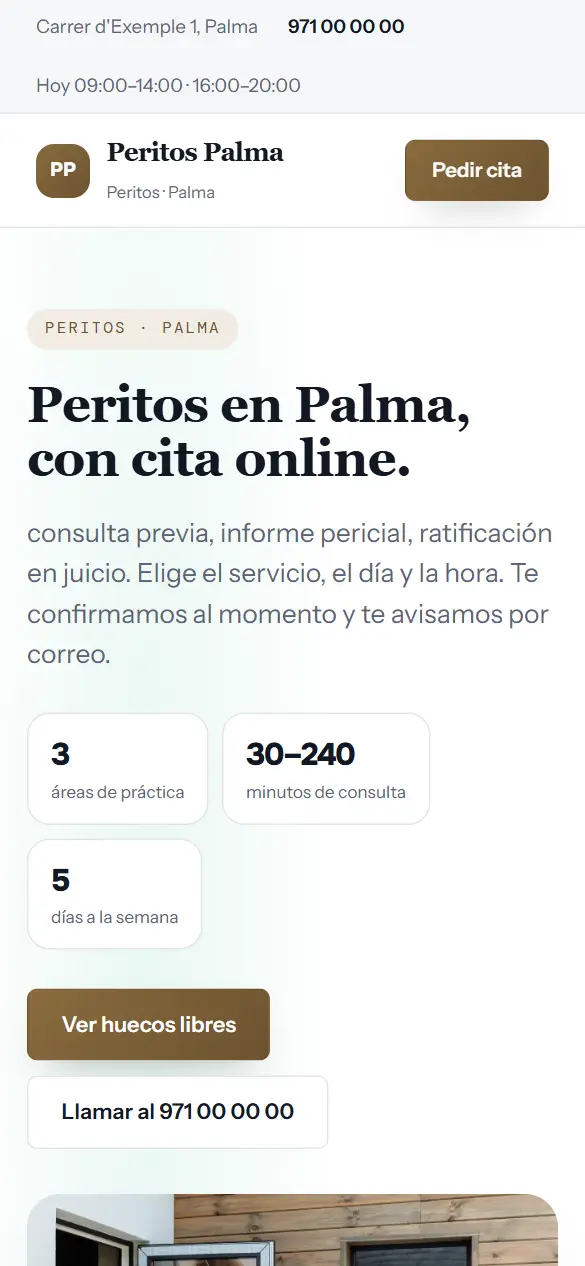 Web de ejemplo para peritos vista en el móvil